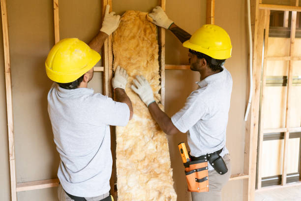 Best Attic Insulation Installation  in Forsyth, IL