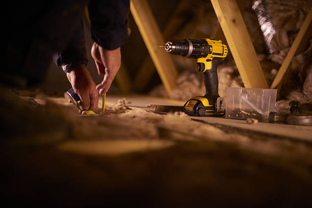 Best Home Insulation Services  in Forsyth, IL